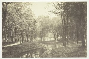 Utan titel, c. 1850. [Träd nära vatten i Bois de Boulogne, en park i Paris]. av Charles Marville