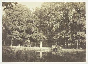 Utan titel, c. 1850. [Träd nära vatten i Bois de Boulogne, en park i Paris]. av Charles Marville