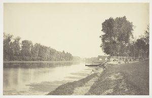 Utan titel, c. 1850. [Träd nära vatten i Bois de Boulogne, en park i Paris]. av Charles Marville