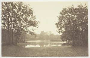 Utan titel, c. 1850. [Träd nära vatten i Bois de Boulogne, en park i Paris]. av Charles Marville