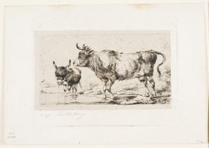 Cow and Ass
