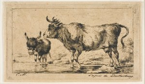 Cow and Ass
