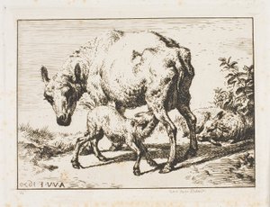 Tackan med två lamm av Charles Meryon