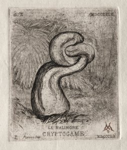 The Sickly Cryptogam, 1860. av Charles Meryon