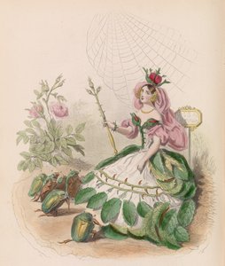 Animerade blommor, 1867.