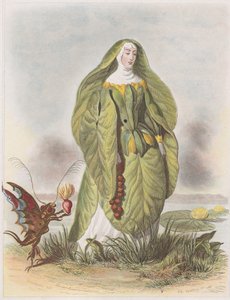 Näckros, från Les Fleurs Animées, 1847.