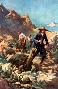 Galapagosöarnas jättesköldpaddor av Charles Mills Sheldon