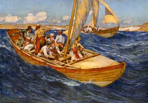 Rovfåglar (färglitografi)
