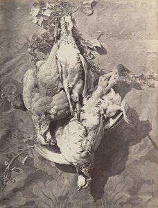 [Stilleben med viltfåglar], 1859. av Charles Nègre
