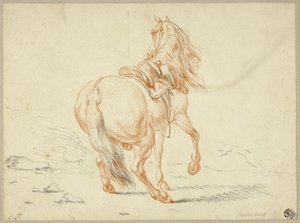 Ryttarlös häst av Charles Parrocel