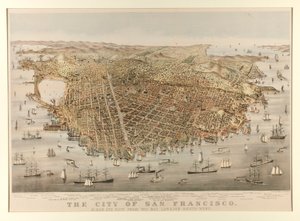 Staden San Francisco - Fågel av Charles Parsons