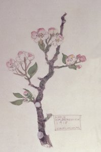 Apple, Walberswick, 1915 (penna och wc)