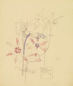 Ixias av Charles Rennie Mackintosh