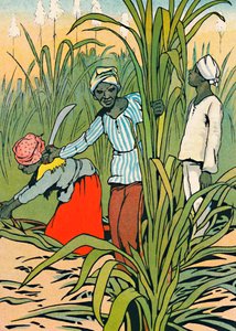 At Work Among The Sugar-Canes, 1912 av Charles Robinson