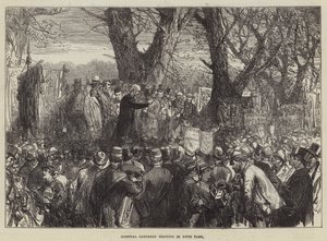 Sjukhuslördagsmöte i Hyde Park av Sir John Charles Robinson