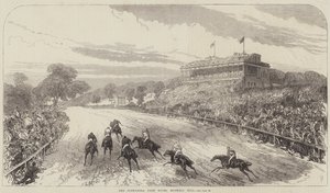 Alexandra Park Races, Muswell Hill av Sir John Charles Robinson