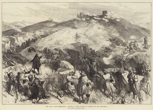 Kriget i Hercegovina, stormning av fästningen Palanka av rebellerna