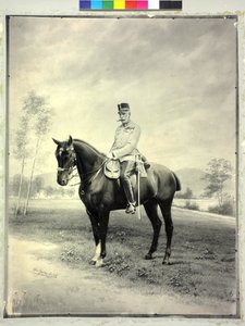 Ärkehertig av Österrike Rainer