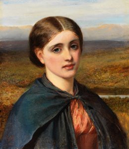 Studie av ett irländskt huvud, 1866