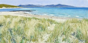 Beach Grasses, Berneray, 2011 (olja på duk)