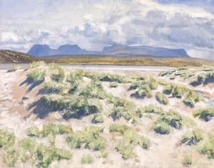 Dunes, Achnahaird, 2017 (olja på duk)