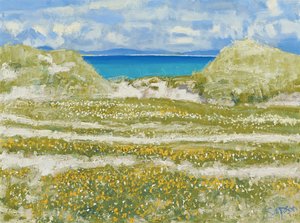 Glimpse of Harris, 2014 (olja på duk) av Charles Simpson