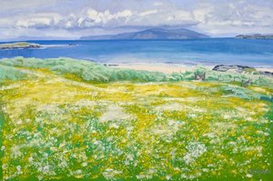 Machair, North End Iona, 2015 (olja på duk) av Charles Simpson