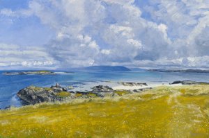 North Shore, Iona, 2015 (olja på duk)