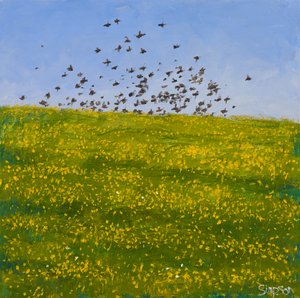 Starlings  Buttercups, Iona, 2015 (olja på duk) av Charles Simpson
