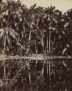 Tetiaroa - A Paumotu Lagoon, 1880- eller 1890-tal. av Charles Spitz