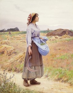 Färska plockningar,