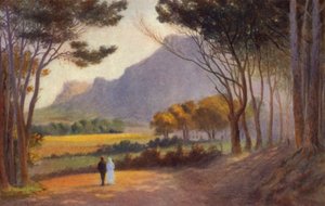 Cape Peninsula, Sydafrika: Alphen (färg litho) av Charles Stephen Meacham