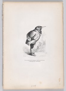 Gammal, trasig, uttjatad, nyckfull, men ändå bra, men ändå hängiven och inhemsk i temperament..., ca. 1837-47.
