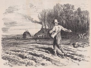 Spridningsfrö, från Le Magasin Pittoresque, maj 1857.