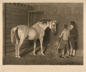 Wellesley-araben av Charles Turner