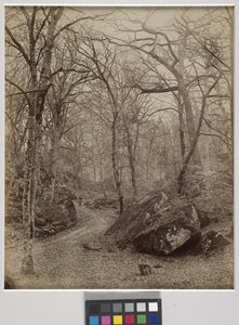 Fontainebleau, ca 1870 (albumintryck) av Charles Victor Famin