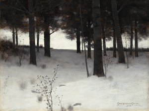 Skogen på vintern