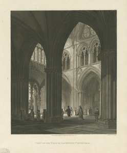 Interiör av Lichfield Cathedral - Nave: akvatintgravyr av Charles Wild