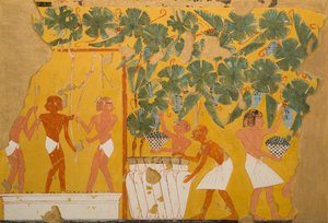 Vintillverkning, Tomb of Ipuy (tempera på papper)