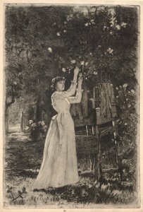 En ung kvinna som plockar blommor från ett träd