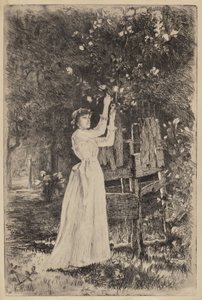 Untitled (Kvinna som plockar blommor)
