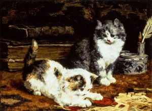 Två kattungar som leker på ett skrivbord