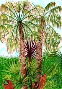 Barcelona Palms, 2017 (penselpennor) av Charlotte Orr