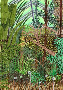 Botaniska trädgården, 2017 (penselpennor)