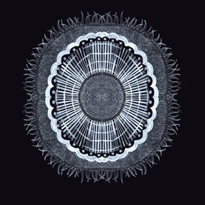 Plant Cell 0.2, 2019 (penna och bläck) av Charlotte Orr