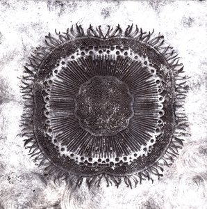 Plant Cells, 2019 (torrpunktsetsning)