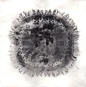 Plant Cells, 2019 (torrpunktsetsning) av Charlotte Orr