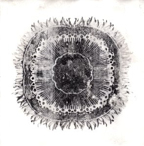 Plant Cells, 2019 (torrpunktsetsning) av Charlotte Orr