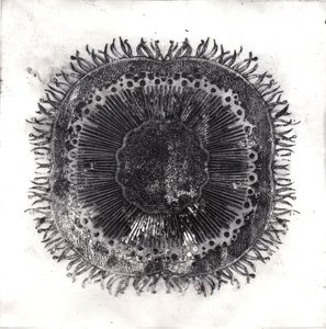Plant Cells, 2019 (torrpunktsetsning) av Charlotte Orr