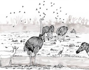 Safari 2, 2018 (bläck och akvarell) av Charlotte Orr